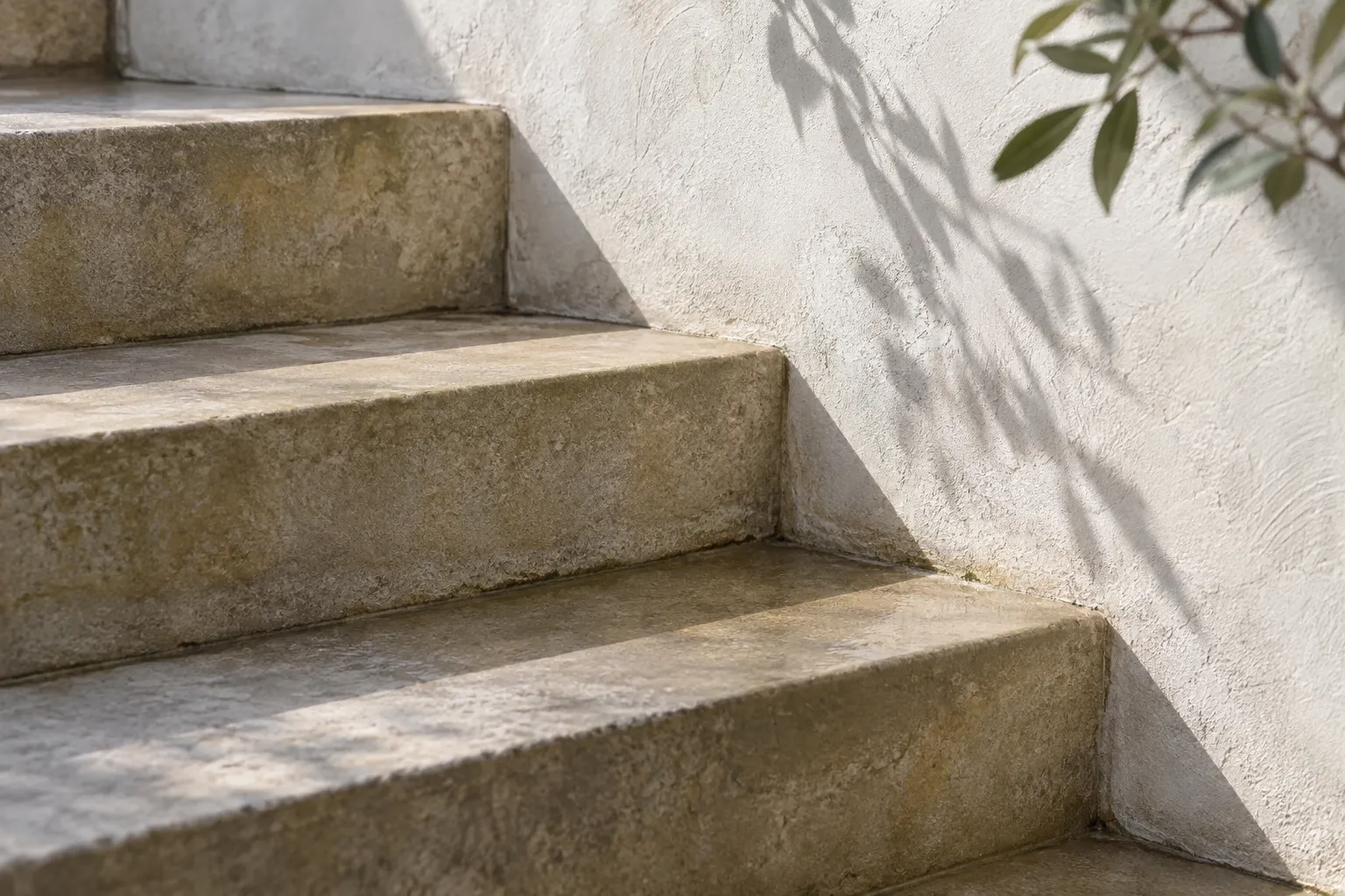 Clean pale stone steps and a delicate leafy shadow on a limewashed wall